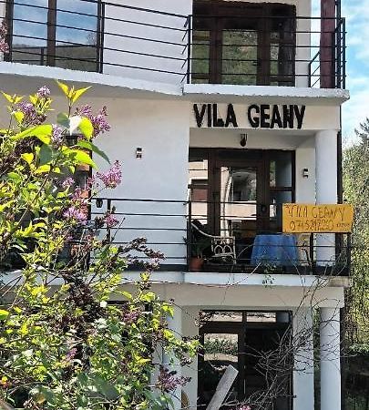 Pensiunea Vila Geany Srl Băile Herculane Buitenkant foto