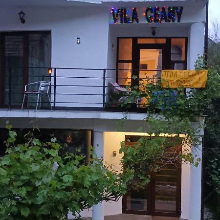 Pensiunea Vila Geany Srl Băile Herculane Buitenkant foto